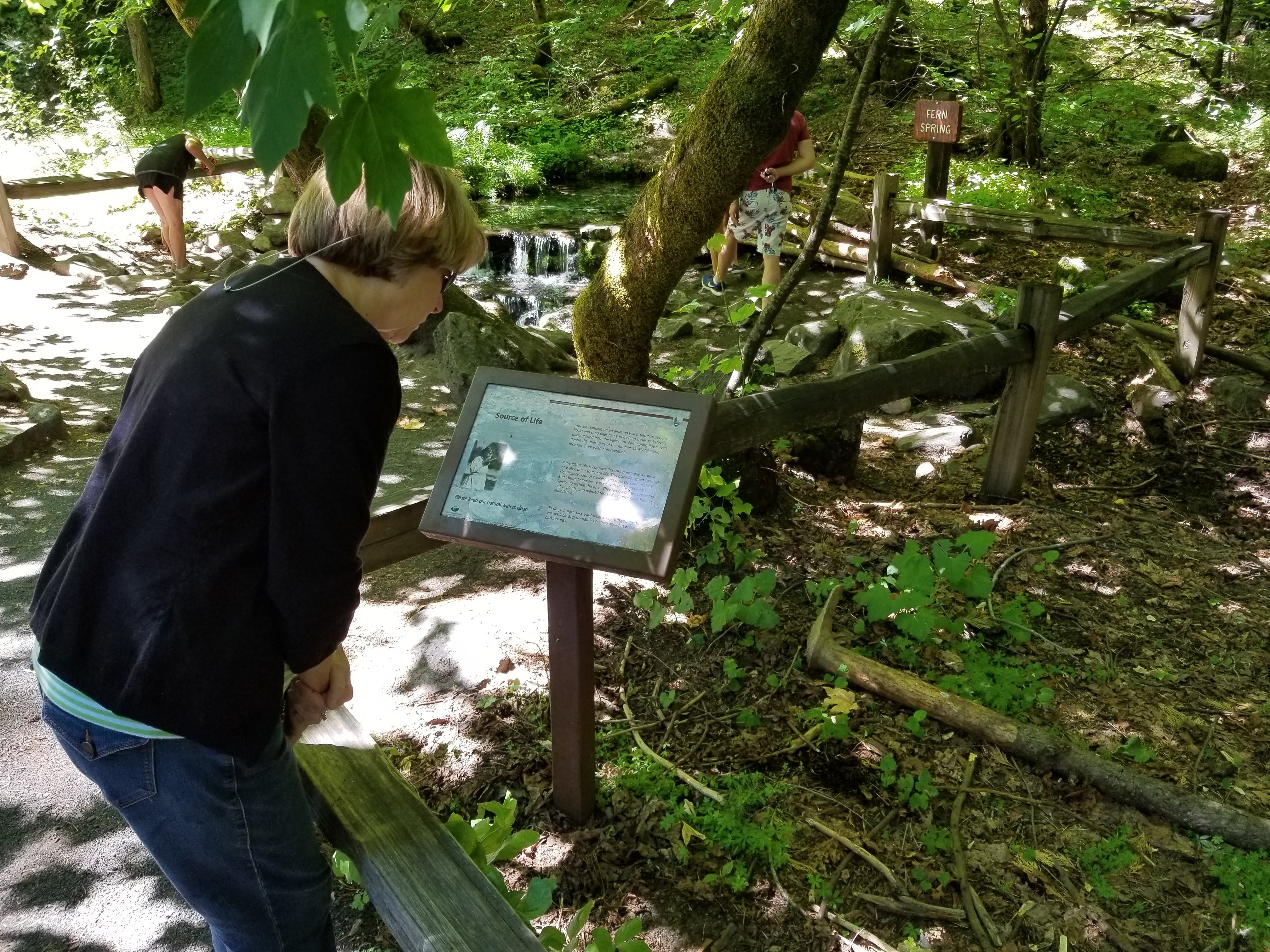 Happy reading explanation of Fern Spring source of life